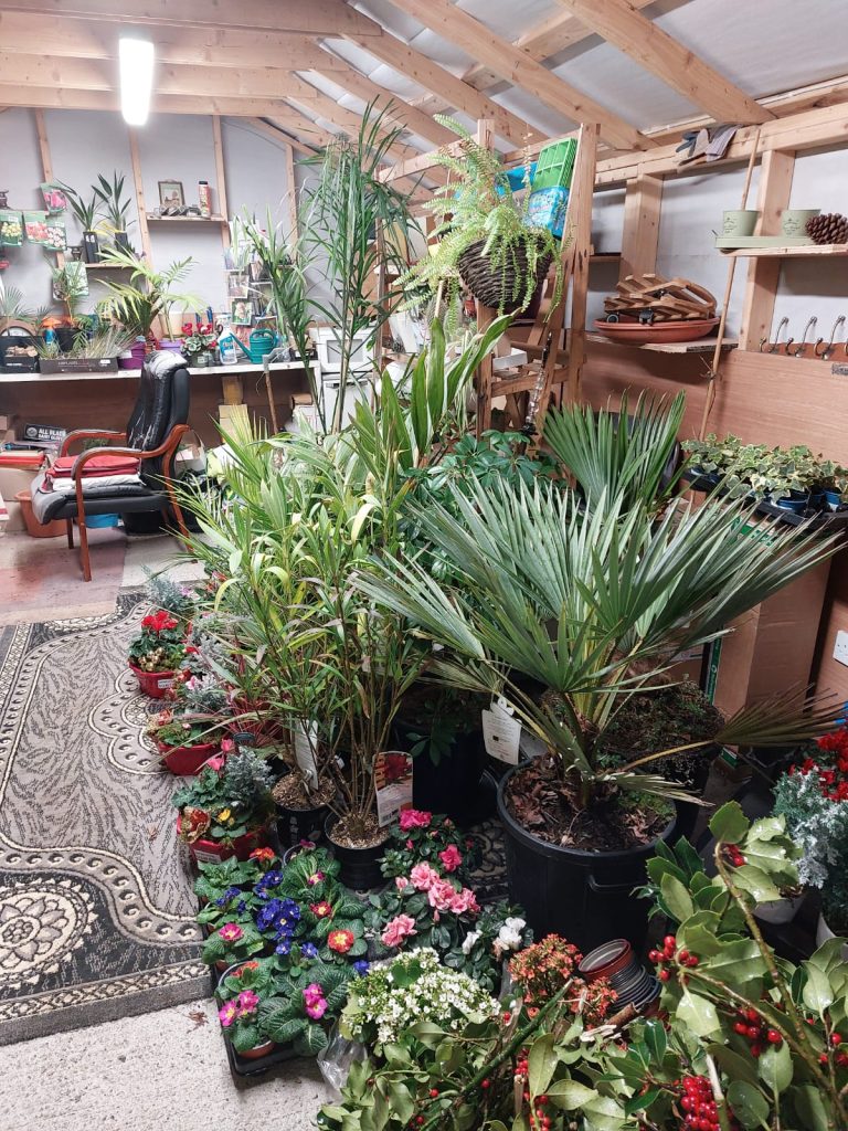 Mart Garden Centre Carlow
