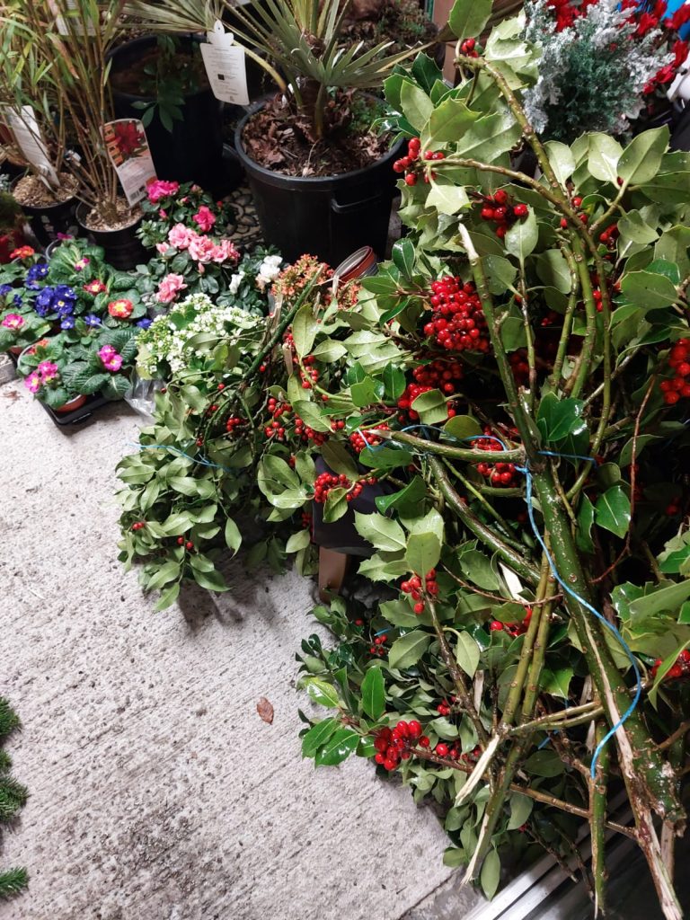 Mart Garden Centre Carlow