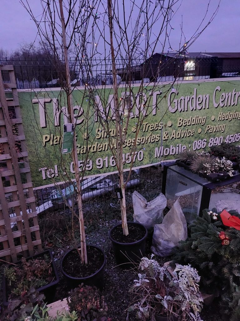 Mart Garden Centre Carlow