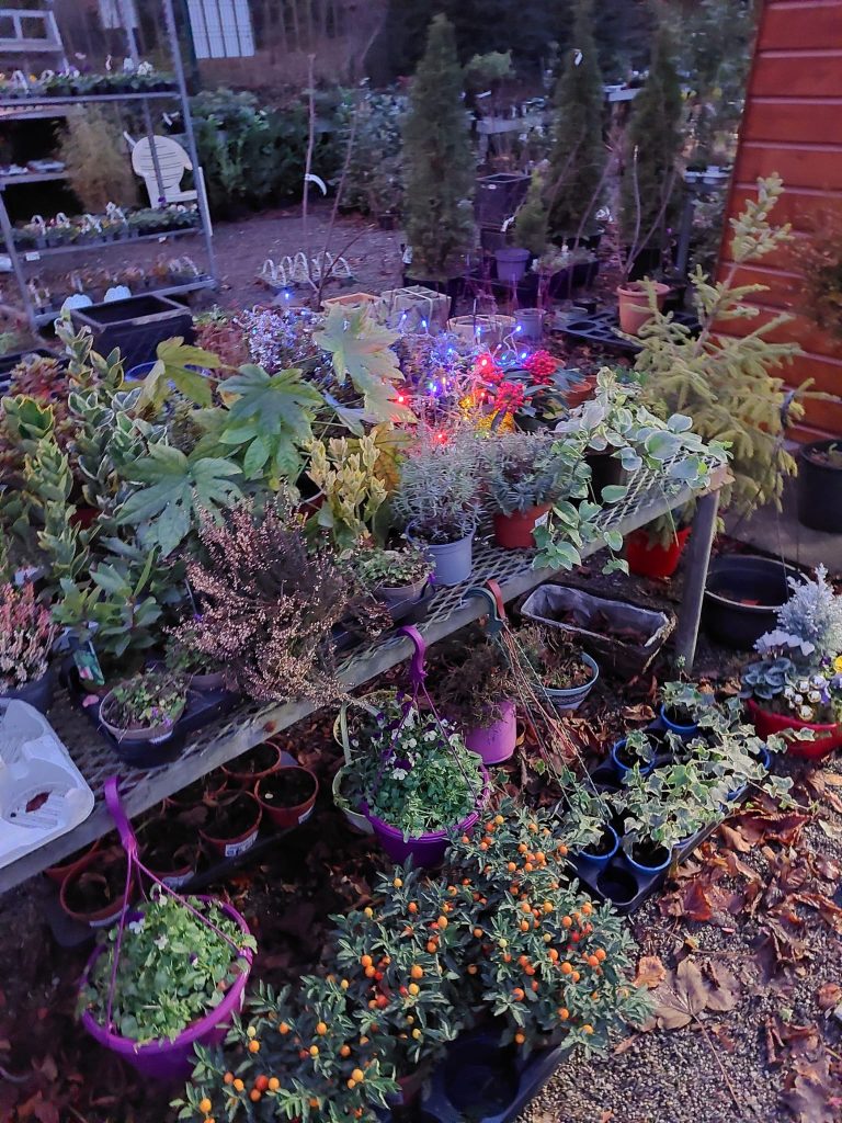 Mart Garden Centre Carlow