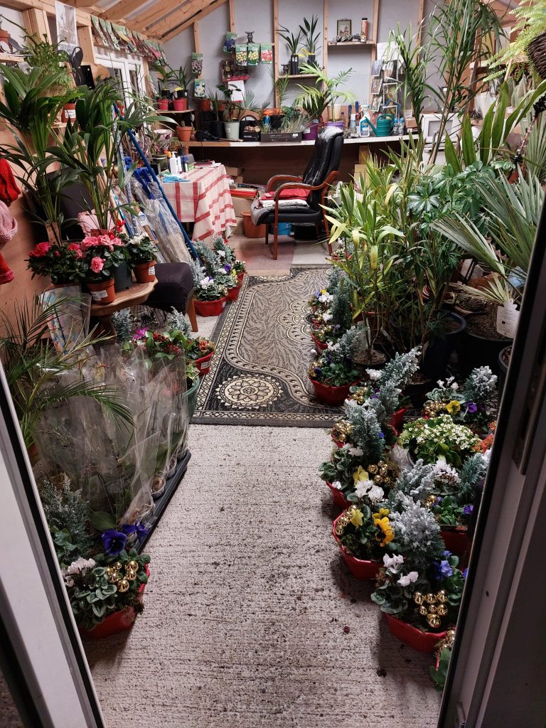 Plant Nursery Carlow