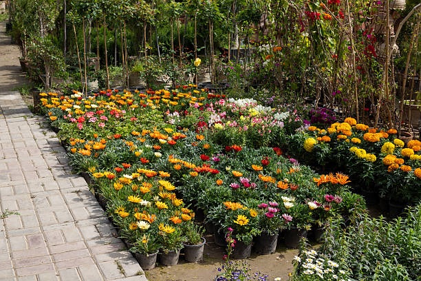 Plant Nursery Carlow